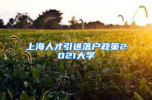 上海人才引进落户政策2021大学