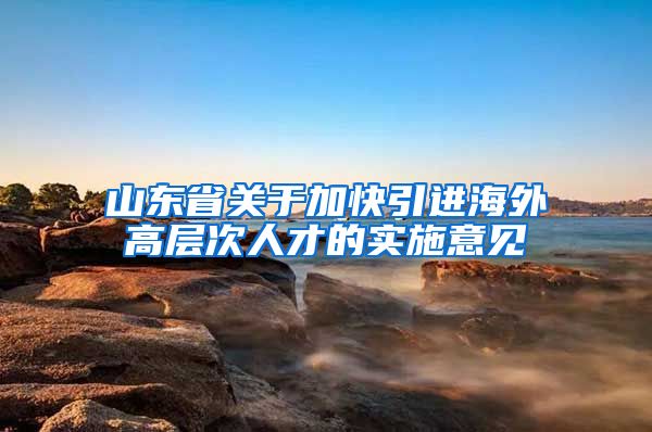 山东省关于加快引进海外高层次人才的实施意见