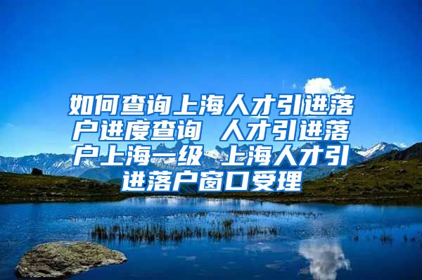 如何查询上海人才引进落户进度查询 人才引进落户上海一级 上海人才引进落户窗口受理