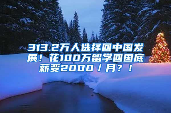 313.2万人选择回中国发展！花100万留学回国底薪变2000／月？！