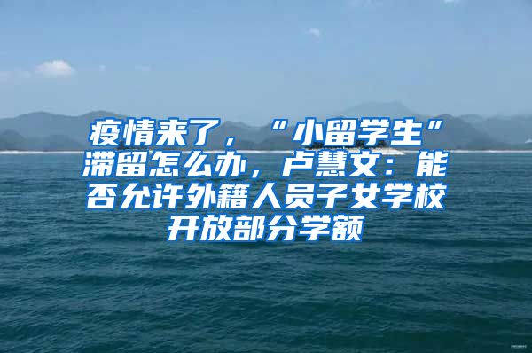 疫情来了，“小留学生”滞留怎么办，卢慧文：能否允许外籍人员子女学校开放部分学额