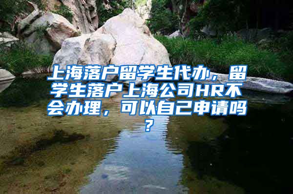 上海落户留学生代办，留学生落户上海公司HR不会办理，可以自己申请吗？