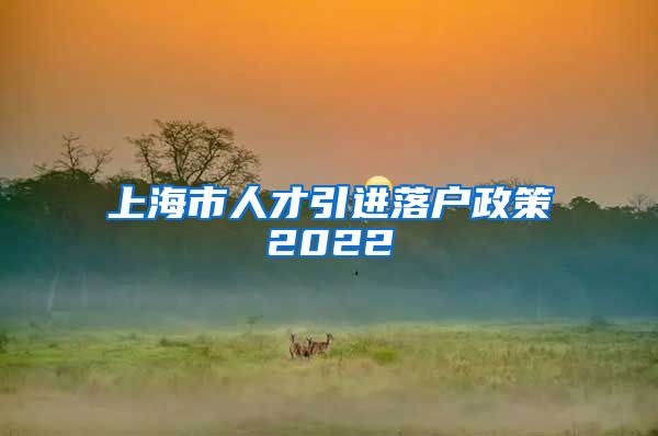 上海市人才引进落户政策2022