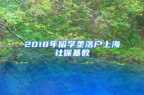 2018年留学垄落户上海社保基数