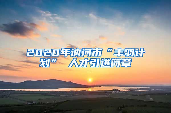 2020年讷河市“丰羽计划” 人才引进简章