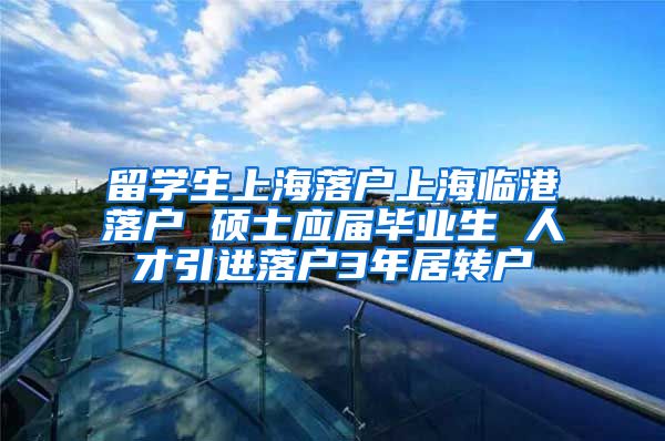 留学生上海落户上海临港落户 硕士应届毕业生 人才引进落户3年居转户