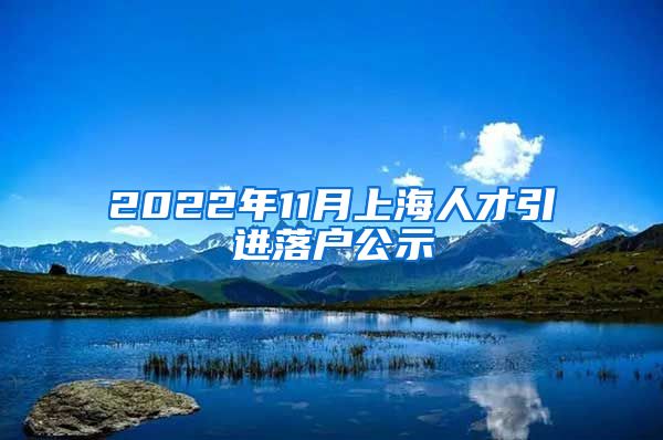 2022年11月上海人才引进落户公示