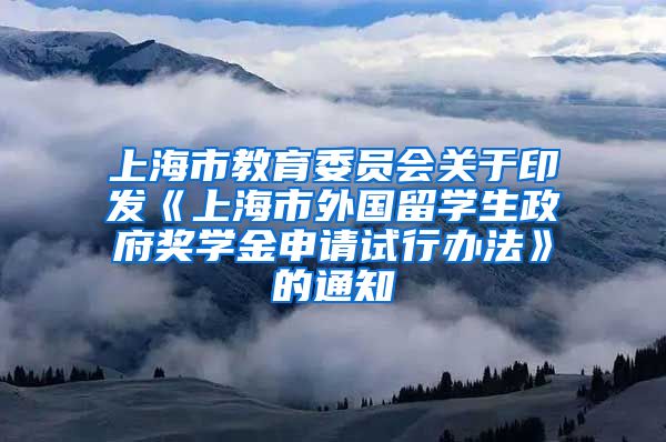 上海市教育委员会关于印发《上海市外国留学生政府奖学金申请试行办法》的通知