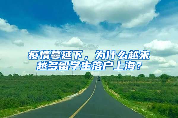 疫情蔓延下，为什么越来越多留学生落户上海？