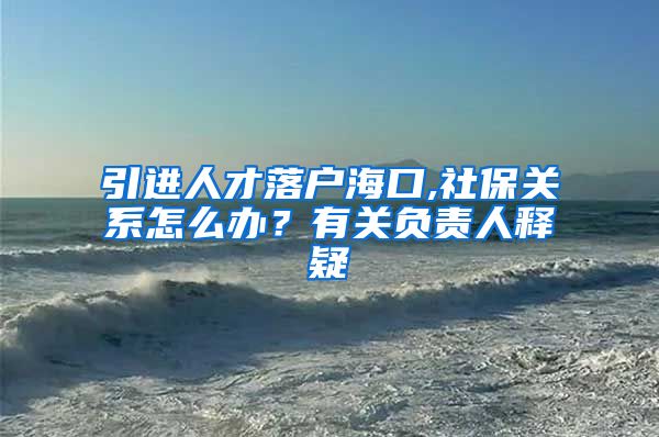 引进人才落户海口,社保关系怎么办？有关负责人释疑