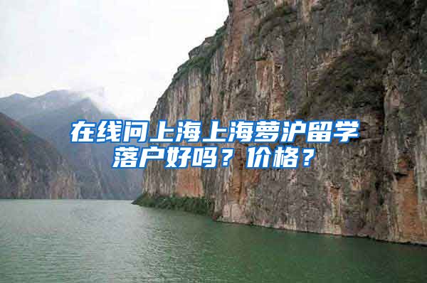 在线问上海上海萝沪留学落户好吗？价格？