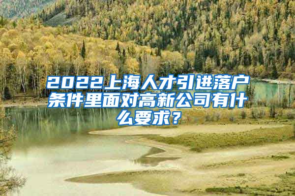 2022上海人才引进落户条件里面对高新公司有什么要求？