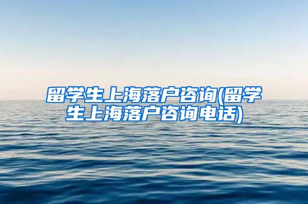 留学生上海落户咨询(留学生上海落户咨询电话)