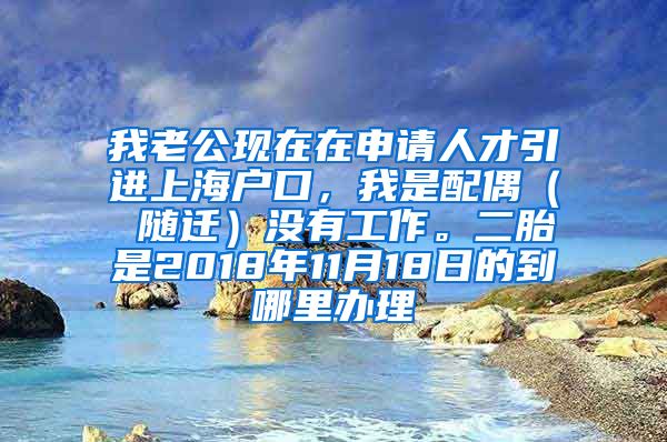 我老公现在在申请人才引进上海户口，我是配偶（ 随迁）没有工作。二胎是2018年11月18日的到哪里办理