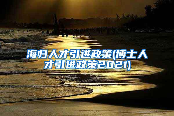 海归人才引进政策(博士人才引进政策2021)