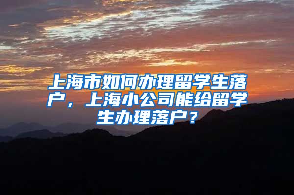 上海市如何办理留学生落户，上海小公司能给留学生办理落户？