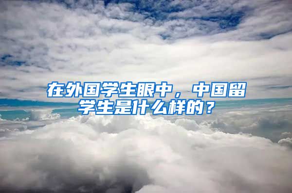 在外国学生眼中，中国留学生是什么样的？