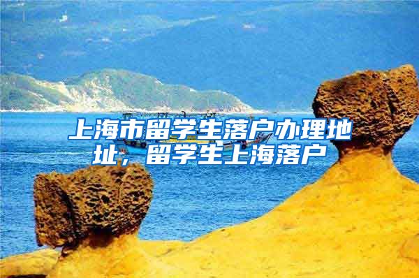 上海市留学生落户办理地址，留学生上海落户