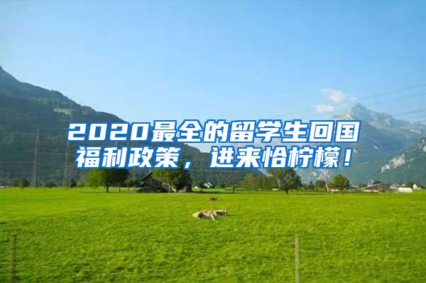 2020最全的留学生回国福利政策，进来恰柠檬！