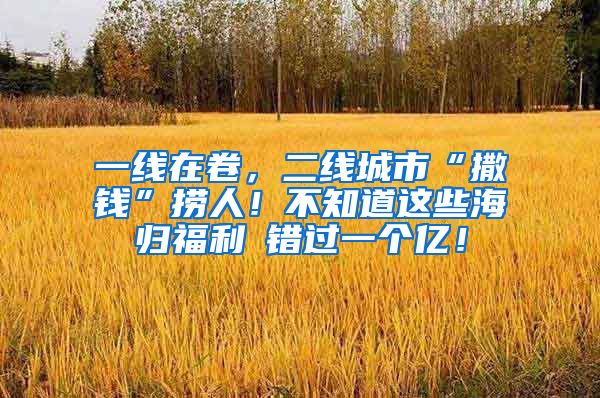 一线在卷，二线城市“撒钱”捞人！不知道这些海归福利≈错过一个亿！