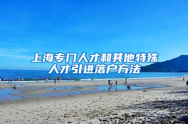 上海专门人才和其他特殊人才引进落户方法