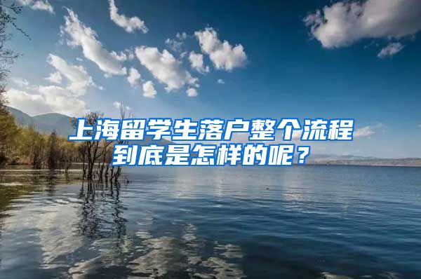 上海留学生落户整个流程到底是怎样的呢？