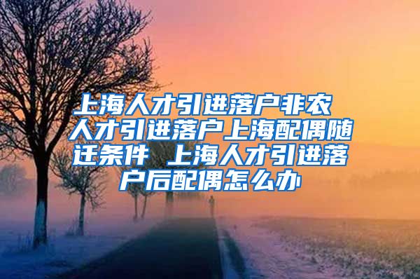 上海人才引进落户非农 人才引进落户上海配偶随迁条件 上海人才引进落户后配偶怎么办