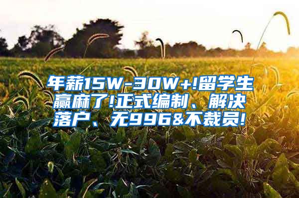 年薪15W-30W+!留学生赢麻了!正式编制、解决落户、无996&不裁员!