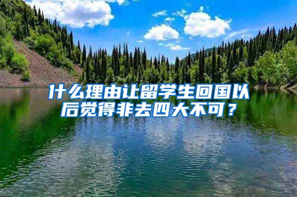 什么理由让留学生回国以后觉得非去四大不可？