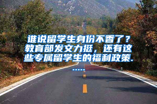 谁说留学生身份不香了？教育部发文力挺，还有这些专属留学生的福利政策......