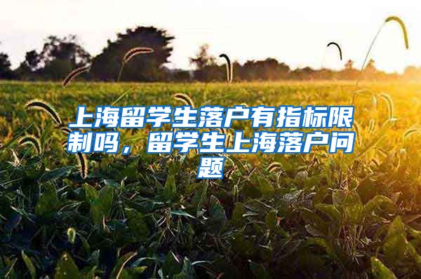 上海留学生落户有指标限制吗，留学生上海落户问题