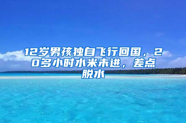 12岁男孩独自飞行回国，20多小时水米未进，差点脱水