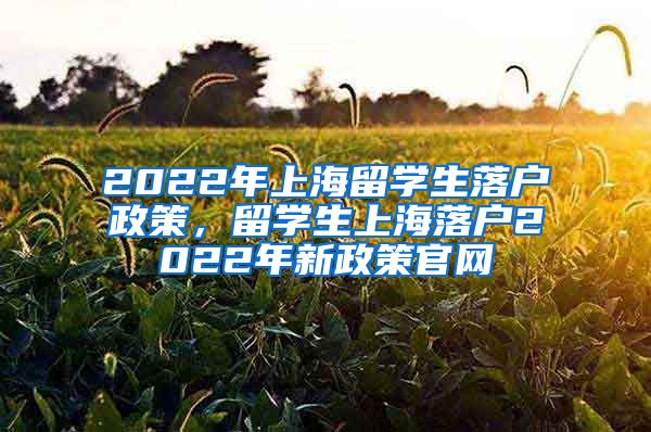 2022年上海留学生落户政策，留学生上海落户2022年新政策官网