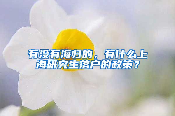 有没有海归的，有什么上海研究生落户的政策？