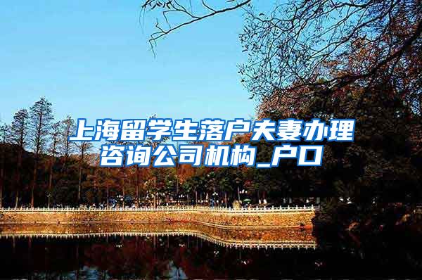 上海留学生落户夫妻办理咨询公司机构_户口