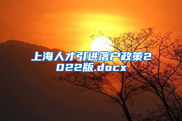 上海人才引进落户政策2022版.docx