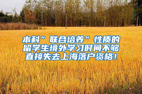 本科”联合培养”性质的留学生境外学习时间不够直接失去上海落户资格！