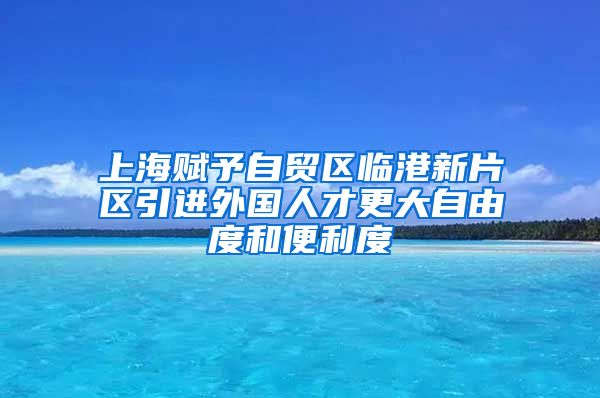 上海赋予自贸区临港新片区引进外国人才更大自由度和便利度