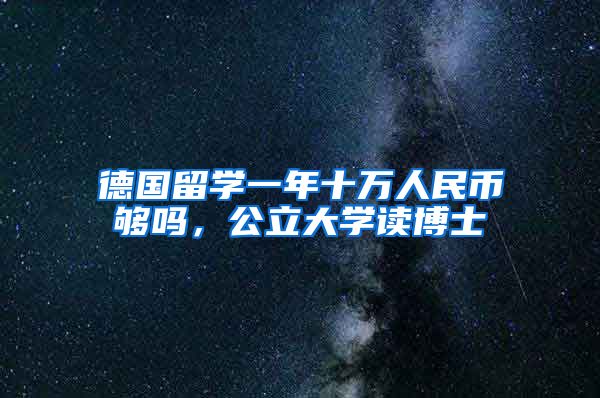 德国留学一年十万人民币够吗，公立大学读博士