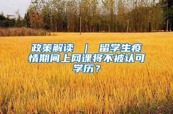 政策解读 ｜ 留学生疫情期间上网课将不被认可学历？