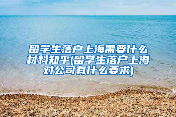 留学生落户上海需要什么材料知乎(留学生落户上海对公司有什么要求)