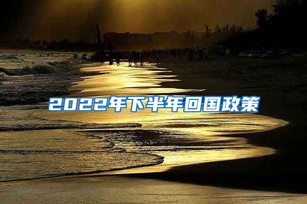 2022年下半年回国政策