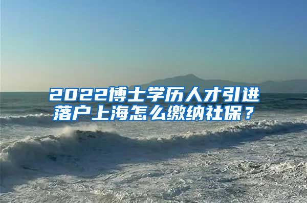 2022博士学历人才引进落户上海怎么缴纳社保？