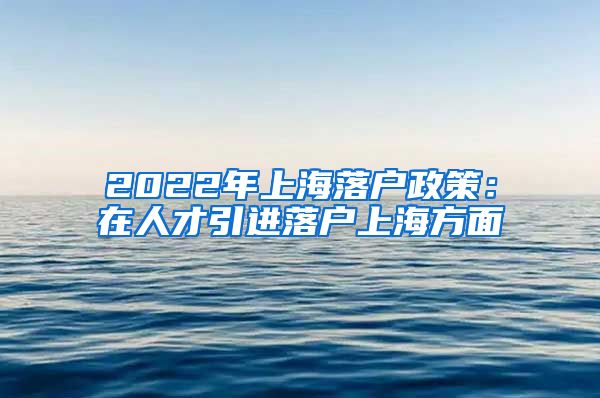 2022年上海落户政策：在人才引进落户上海方面