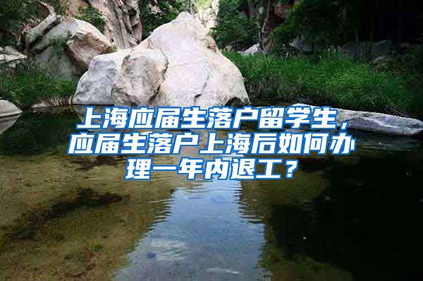 上海应届生落户留学生，应届生落户上海后如何办理一年内退工？