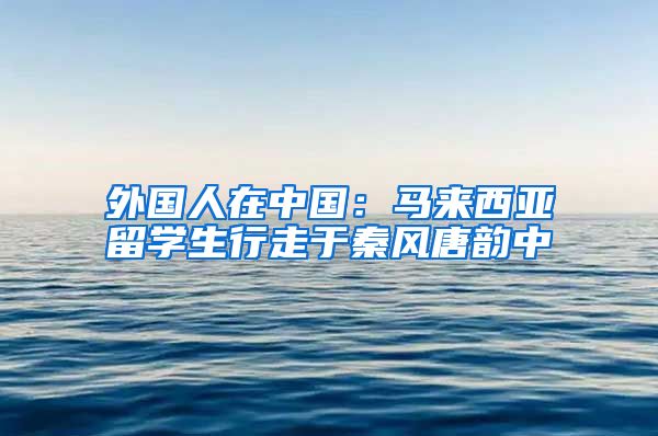 外国人在中国：马来西亚留学生行走于秦风唐韵中