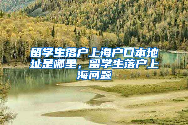 留学生落户上海户口本地址是哪里，留学生落户上海问题