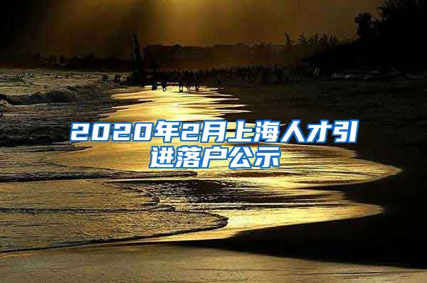 2020年2月上海人才引进落户公示