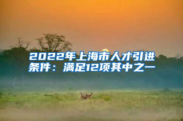 2022年上海市人才引进条件：满足12项其中之一