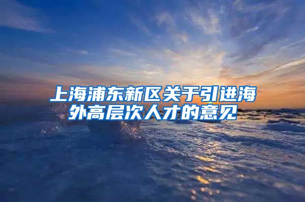 上海浦东新区关于引进海外高层次人才的意见